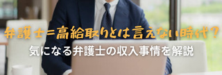 弁護士＝高給取りとは言えない時代？気になる弁護士の収入事情を解説